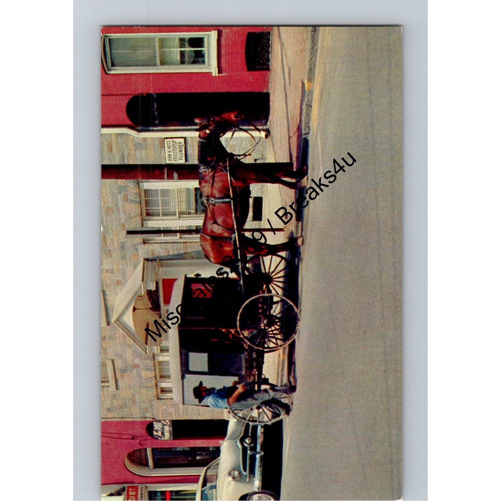Vintage James E. Hess Postcard‎ Amish Country Pennsylvania Horse and Buggy